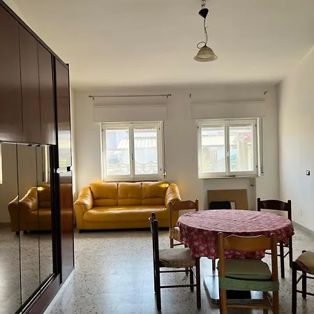 Metauria 지오이아 타우로