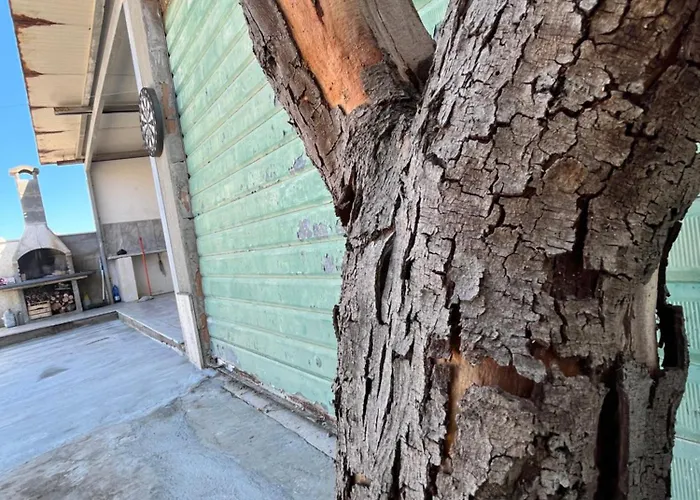 Metauria Casa de Férias *